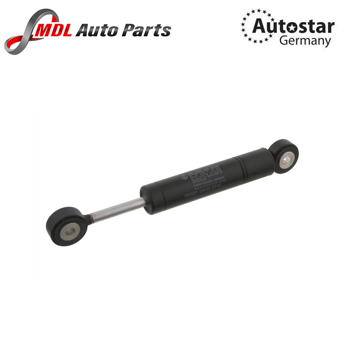 AUTOSTAR Belt Tensioner Damper 1032000114