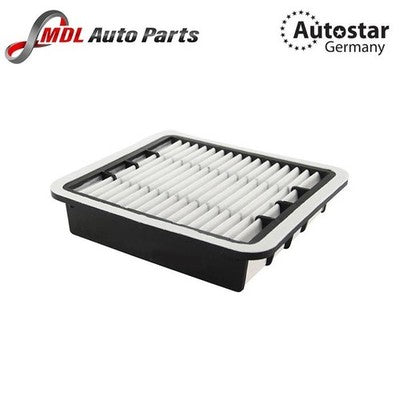 DATEX AIR FILTER 17801-50030