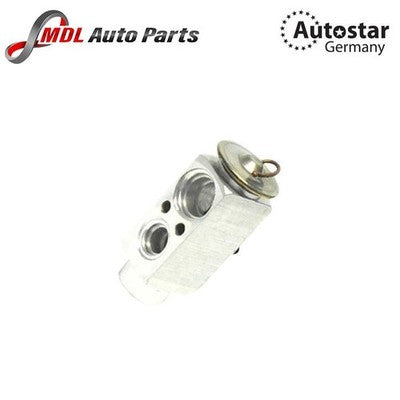 AutoStar Expansion Valve 64118371459 for BMW E31 E32 E34 E36 E38 E39