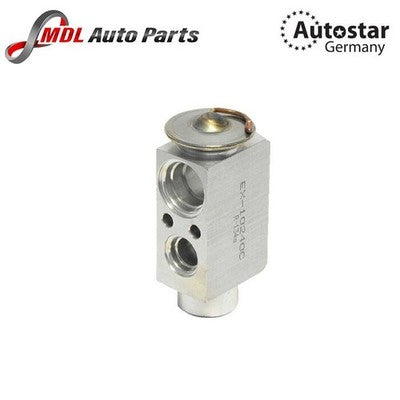 AutoStar Germany Expansion Valve 64116178316 for BMW E60 E61 E63 E64 Models