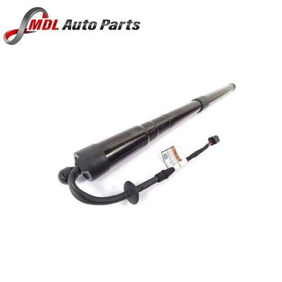 Land Rover Genuine Tailgate Support Cylinder LR062078 Range Rover Sport