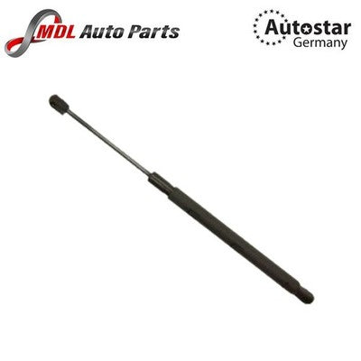AutoStar Bonnet Shock 2518800129 Mercedes ML-Class W164 ML350 ML550 ML63 AMG