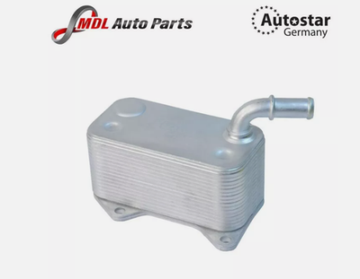 Engine Oil Cooler For GOLF V 2.0FSI AUDI A3 2.0TFSI 2004- A4 2.0TFSI 06D117021C