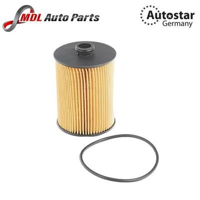 Autostar Oil Filter 95810722210 03H115562 Audi Q7 Porsche Cayenne VW Touareg