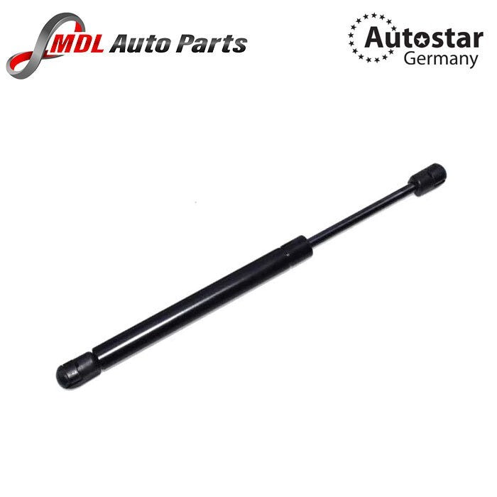 x2 Gas Spring Hood 51237309117 BMW 5 Series F10/F11 6 Series F12/F13/F06