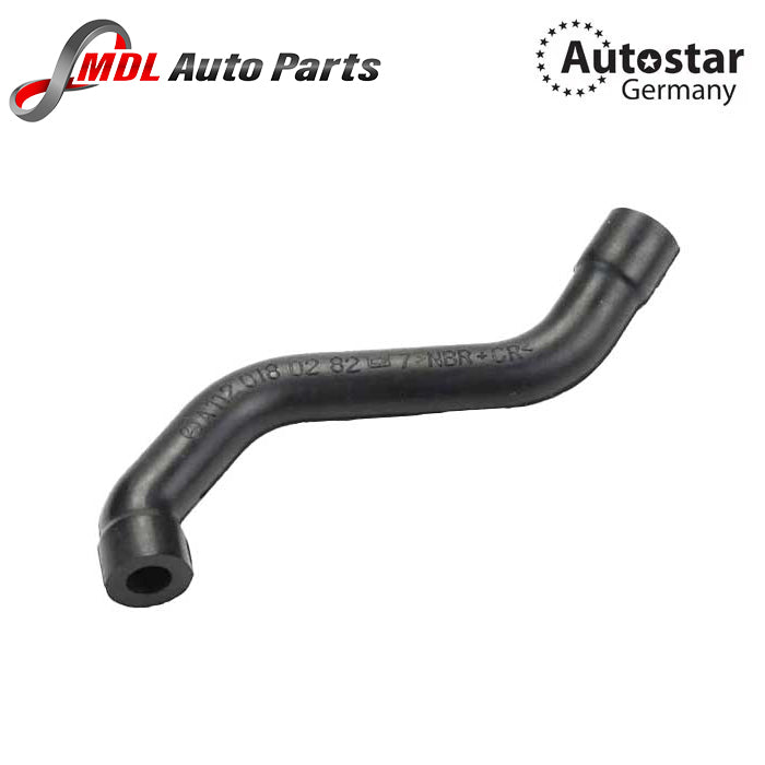 AUTOSTAR Crankcase Vent Hose 1120180282