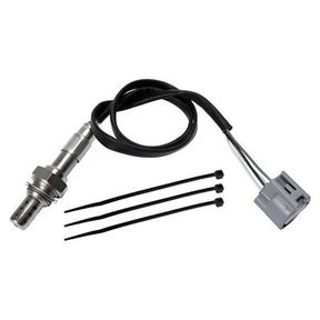 BLUEPRINT Lambda Sensor C2C25956