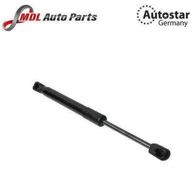 AutoStar Germany Gas Spring Diki Shock 1717500036 Mercedes SLK R171 2005-2011