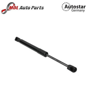 AutoStar Germany Gas Spring Diki Shock 1717500036 Mercedes SLK R171 2005-2011