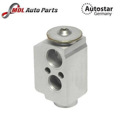 Autostar Germany For BMW EXPANSION VALVE E90. E91. E92 64119182512