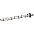Febi 192638 Camshaft Standard Premium Grade Fits Citroën Berlingo 2005 - 2011