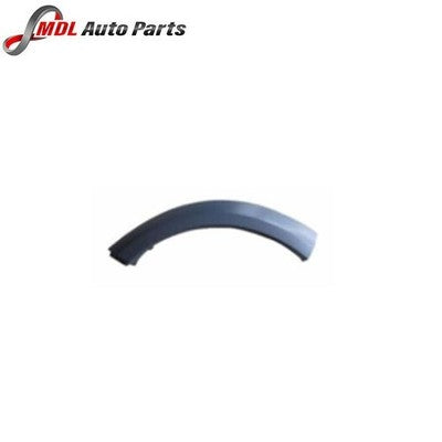 Eurospares Moulding LR010629 Discovery
