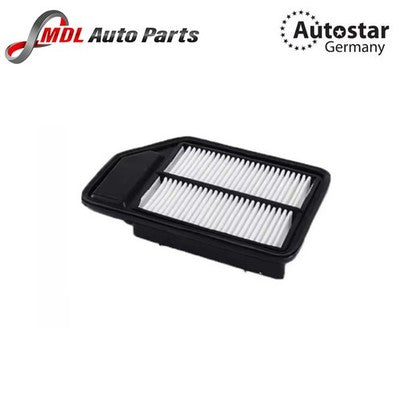 DATEX AIR FILTER 17220-REJ-W00