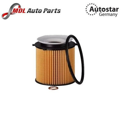 Autostar Germany Oil Filter BMW F30 F10 E84 X1 X3 Z4 11427634292 N20 N55 Engines