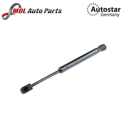 Gas Spring Bonnet Strut Shock Absorber 51237183741 BMW F01 F02 F03 F04 7 Series