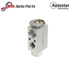 AutoStar Germany Expansion Valve 64116178316 for BMW E60 E61 E63 E64 Models
