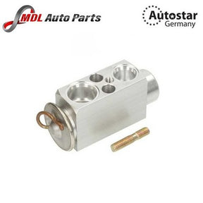 AutoStar Germany A/C Expansion Valve 64118381504 BMW E46 323i 328i 323Ci 328Ci