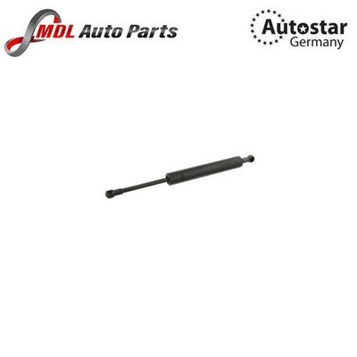 AutoStar Germany Gas Spring, Bonet Shock for MERCEDES-BENZ 2119800364