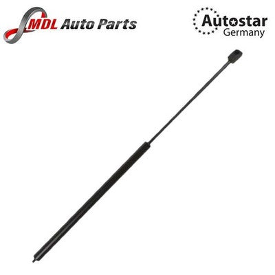 Autostar Germany Bonnet Shock 1648800029 Mercedes ML-Class W164 GL-Class X164