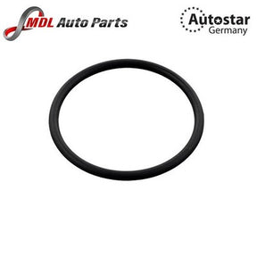 Thermostat Seal 0299972148 for Mercedes-Benz C230, C250, SLK250 Autostar Germany