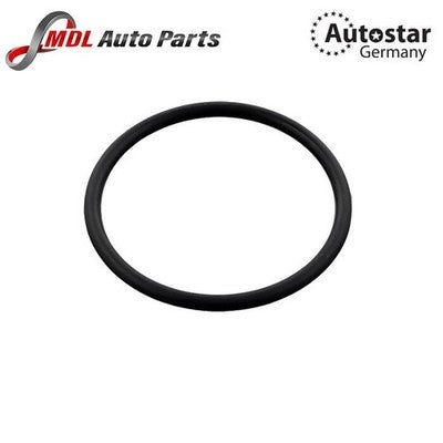 Thermostat Seal 0299972148 for Mercedes-Benz C230, C250, SLK250 Autostar Germany