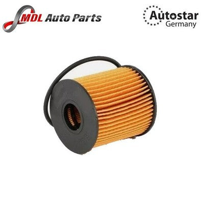 AutoStar Germany Oil Filter Fits BMW 3 Series 5 Series X5 2.0L 3.0L 11427557012