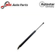 AutoStar Germany Boot Strut 2207500236 for Mercedes-Benz S-Class W220