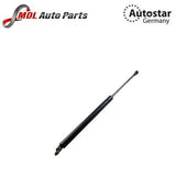 AutoStar Germany Boot Strut 2207500236 for Mercedes-Benz S-Class W220
