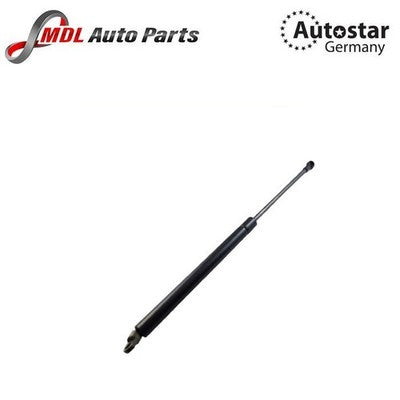 AutoStar Germany Boot Strut 2207500236 for Mercedes-Benz S-Class W220