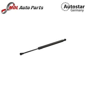 AutoStar Germany Dicky Shock 51244365788 BMW 5Series E39 3 Series E46 Z4 E85 E86