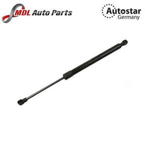 Trunk Gas Spring Shock 51248254281 BMW E46 323i 325i 328i 330i M3 Sedan Coupe