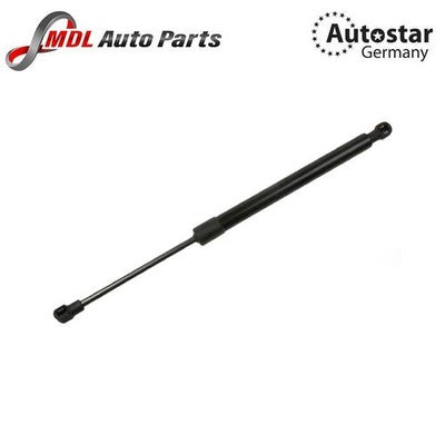 Trunk Gas Spring Shock 51248254281 BMW E46 323i 325i 328i 330i M3 Sedan Coupe