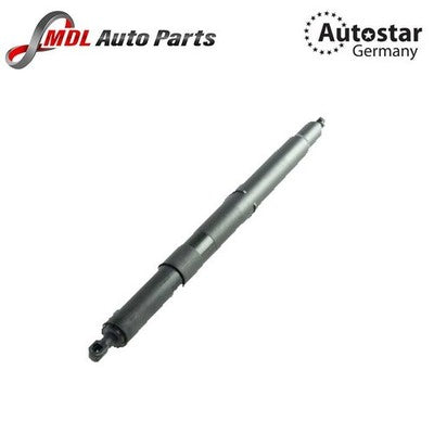 AutoStar Germany For BMW DICKY SHOCK 51247201940