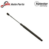AutoStar Germany Bonnet Gas Strut Set 2518800129 for Mercedes R-Class W251