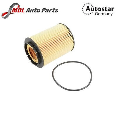 Autostar Germany Oil Filter Element 021115562A Fits Audi A3 A4 Q3 VW Golf Passat
