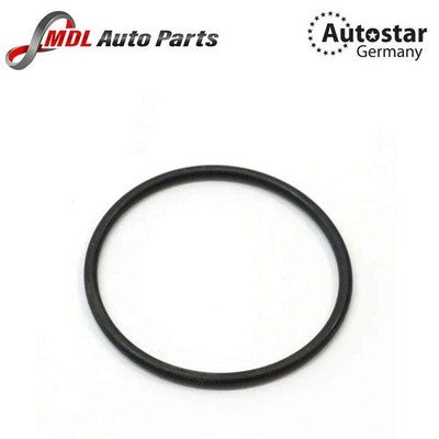 AutoStar O-Ring 0159972348 for Mercedes Benz Thermostat Housing M112 M11 Engines