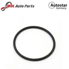 AutoStar O-Ring 0159972348 for Mercedes Benz Thermostat Housing M112 M11 Engines