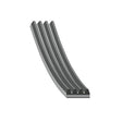 Febi 188478 Auxiliary Belt Standard Fits Mercedes-Benz C-Class 2014 - 2021