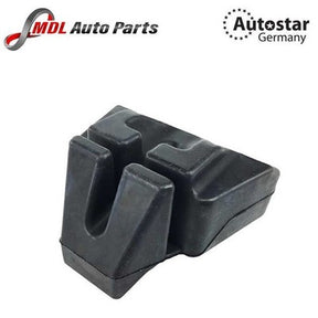 Autostar Radiator Mounting 17117598791 BMW 3 Series 5 Series X3, X5, E90, E60