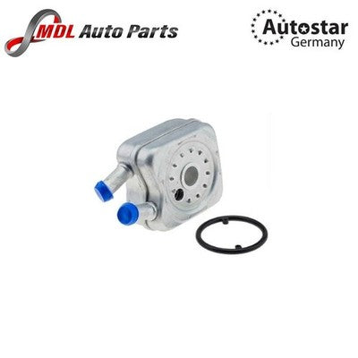AutoStar Germany Engine Oil Cooler 078117021A for Audi A4 A6 TT, VW Golf Jetta