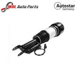 AUTOSTAR GERMANY shock absorber kit 2113205513kit