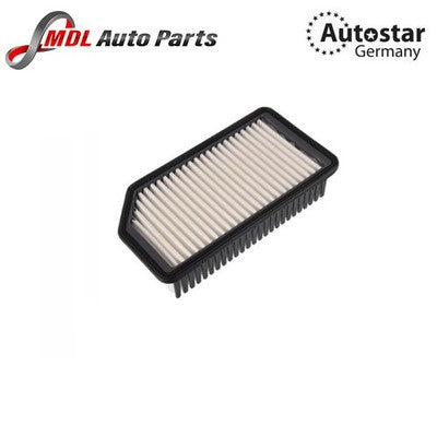 DATEX AIR FILTER 28113-1J000