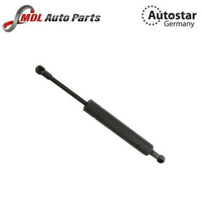 AutoStar Germany Bonnet Shock 2517400045 for Mercedes C-Class W202 E-Class W210