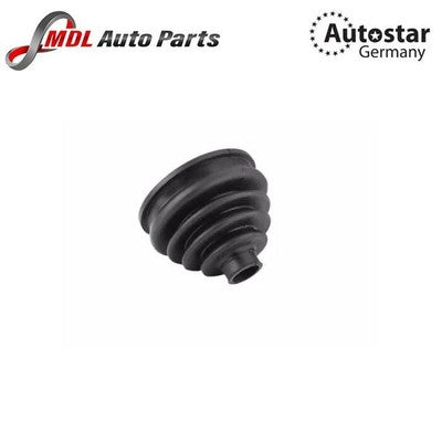 Autostar Germany Boot Lid Gas Strut 31607507402 for BMW X5 E53
