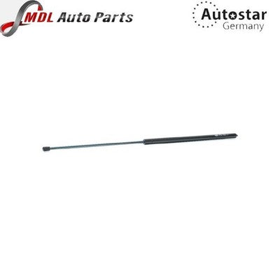 AutoStar Germany Bonnet Gas Strut 1708800229 for Mercedes-Benz SLK R170