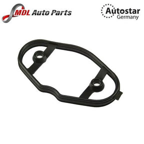 AutoStar Germany Fuel Pump Gasket Fits BMW 3 Series 5 Series X5 11127588416