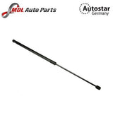 AutoStar Germany Bonnet Gas Strut for Mercedes-Benz W204 W212 W205 2129800564