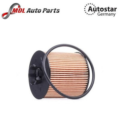 AutoStar OEM Oil Filter 1457429301 for BMW X3 E83 N52 N46 2.0L 2.5L 3.0L