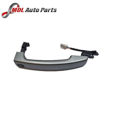 EUROSPARE HANDLE LR020810