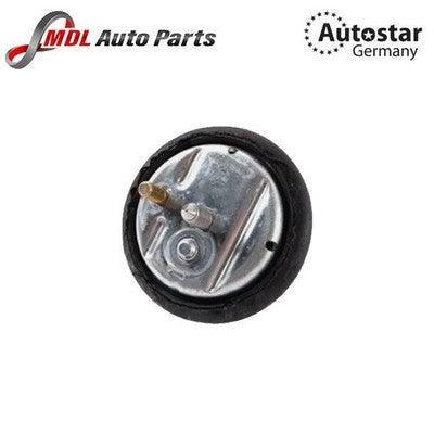 AutoStar Germany Left Engine Mount 11811094149 for BMW E34 E32 E31 V8 Models